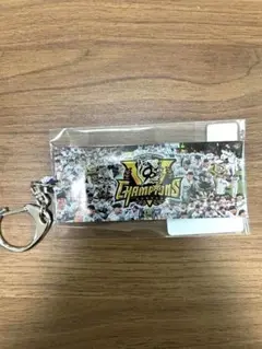 阪神タイガース　史上最速Vキーホルダー