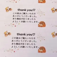 サンキューシール 44枚 ハリネズミ どんぐり thank youシール　匿名