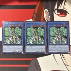 タウセネトアジャト シークレット スーパー
