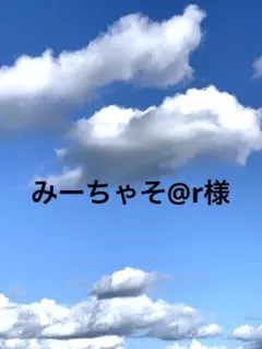 天然石　アメジスト　シェルマーキス　ピアス　No.A852