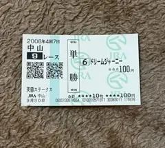 現地購入的中馬券 ビワハヤヒデ 菊花賞 - メルカリ