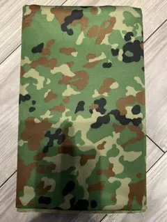 Item thumbnail for item dd516f02-5eea-40c4-b2be-6a6c2a116c88