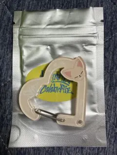 Stray Kids スキズ　POPUP カラビナ　アイエン　フォクシニー