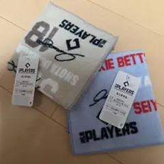 2点セット MLB ミニタオル
