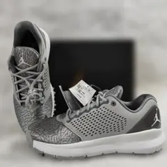 2026年最新】nike ゴルフシューズ ジョーダンの人気アイテム - メルカリ