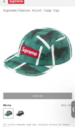 Supreme ダミアン・ハースト キャンプキャップ