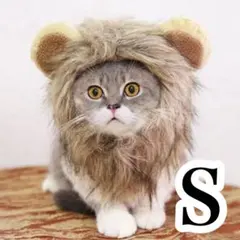 Item thumbnail for item 308d467b-497c-4936-820d-611982b30b7a