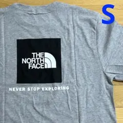 ノースフェイス THE NORTH FACEＴシャツ USモデルライトグレーS