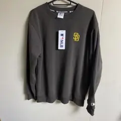 Item thumbnail for item 05cb4b62-04fc-415a-83bf-97e9b61eafb3