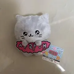 チェゴシム メッセージ付きぬいぐるみ マスコット ねこ
