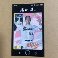 増田珠　シールのサムネイル