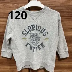 裏毛　グレー トレーナー 120