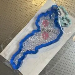 琵琶湖キーホルダー カプセルトイ