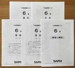 SAPIX 6年 8月度入室マンスリー実力テスト 4教科セット - メルカリ