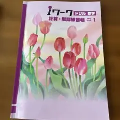 iワークドリル数学 中1