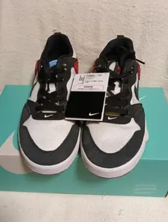 NIKE SB アリウープ CJ0882-102