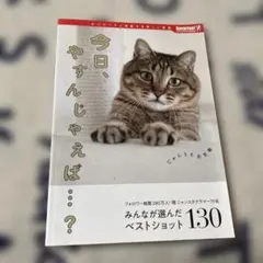 2026年最新】猫の写真集の人気アイテム - メルカリ