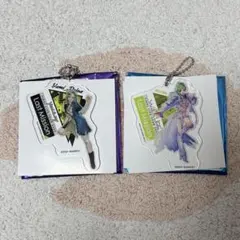 レイナ　マクロスΔ ラストミッション　アクリルキーホルダー　2個セット