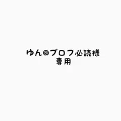 ゆん@プロフ必読様専用