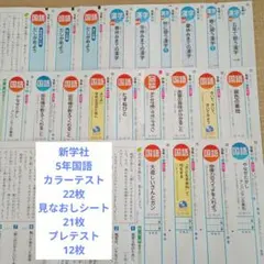 2026年最新】カラーテスト 5年 新学社の人気アイテム - メルカリ