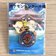 2026年最新】ポケモンセンター ピンズの人気アイテム - メルカリ