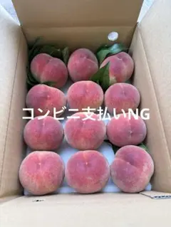 야마나시현 모모코다마 B등급 5