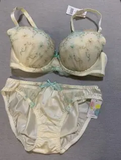 E75L フェアリー　花柄刺繍×レース　ブラ＆ショーツセット　イエロー