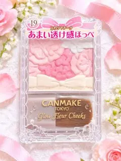 限定品✨CANMAKE グロウフルールチークス 19