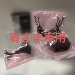 いきもの大図鑑かぶとむし09 ヤマトカブトムシ(赤褐色・新色)