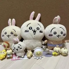 うさぎ　まとめ売り