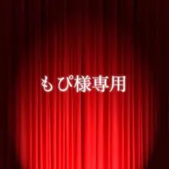 もぴ様専用ページ