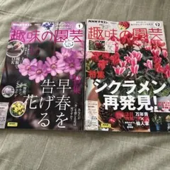 趣味の園芸 2024年1月号 12月号 2冊セット