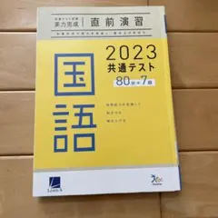 共通のテスト対策実力完成直前演習　國語