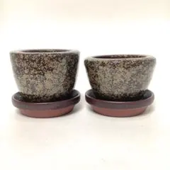 미사용 品 陶器 植木鉢 2個セット 受け皿付き ミニ鉢 盆栽鉢