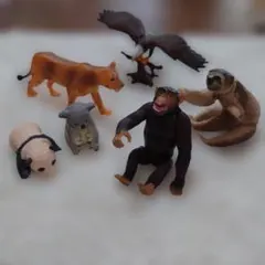 アニア動物フィギュアセット 6体
