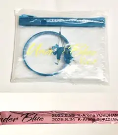 2025年最新】eve under blue ラバーバンドの人気アイテム - メルカリ