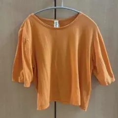 nagonstans ナゴンスタンス　enfold Tシャツ　トップスのサムネイル