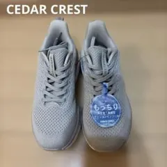 月末SALE❣️新品❣️CEDAR CREST スニーカー スリップインズ23.5のサムネイル