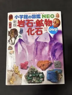 【新版】 小学館の図鑑NEO　岩石・鉱物・化石 DVD付き