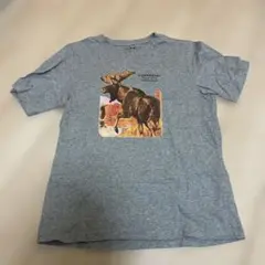 L.L.Bean ムース グラフィック Tシャツ グレー Mサイズのサムネイル