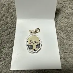 ちいかわ　シーサーのおみやげやさん　ミニアクリルチャーム　ラッコ