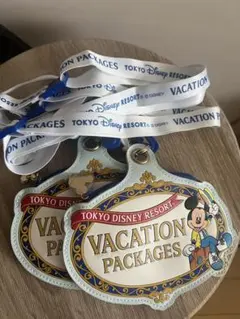 東京ディズニーリゾート バケーションパッケージ パスケース　ミッキー　ポーチ付き