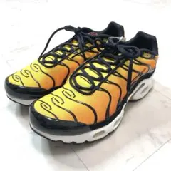 新品タグ付き✨NIKE AIR MAX PLUS CD0609-029 24.5