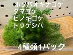 Mami Bateko Hino様 リクエスト 2点 まとめ商品