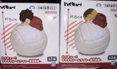 ハイキュー!!　すやすやルームライト　孤爪研磨　黒尾鉄朗 2箱セット