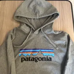 patagonia フード付きパーカー グレー