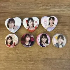イコラブ 佐々木舞香 缶バッジ 貴族衣装 魔法少女 シナモン 猫 缶