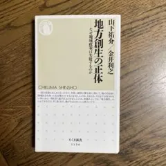 地方創生の正体 なぜ地域政策は失敗するのか