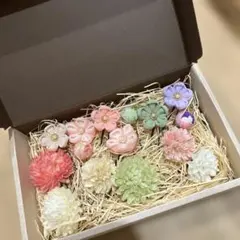 Item thumbnail for item 2e7bb24d-22e9-43d1-950d-9f1af1fe43af