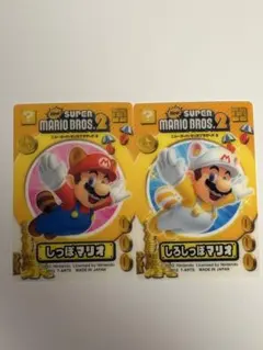 マリオ　しっぽマリオ　しろしっぽマリオ　クリアカード